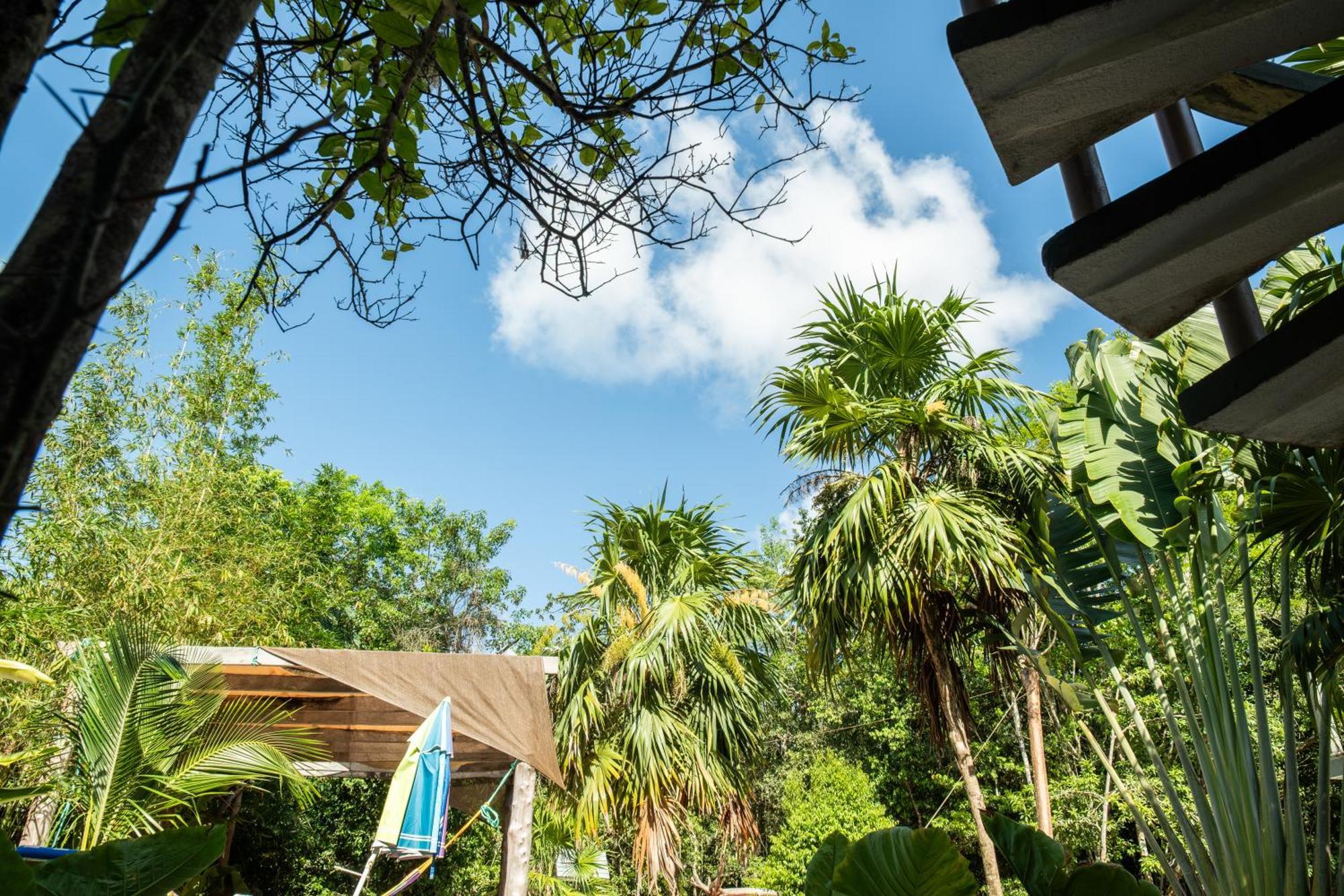 Hokhmah Heart Hotel Puerto Morelos Dış mekan fotoğraf