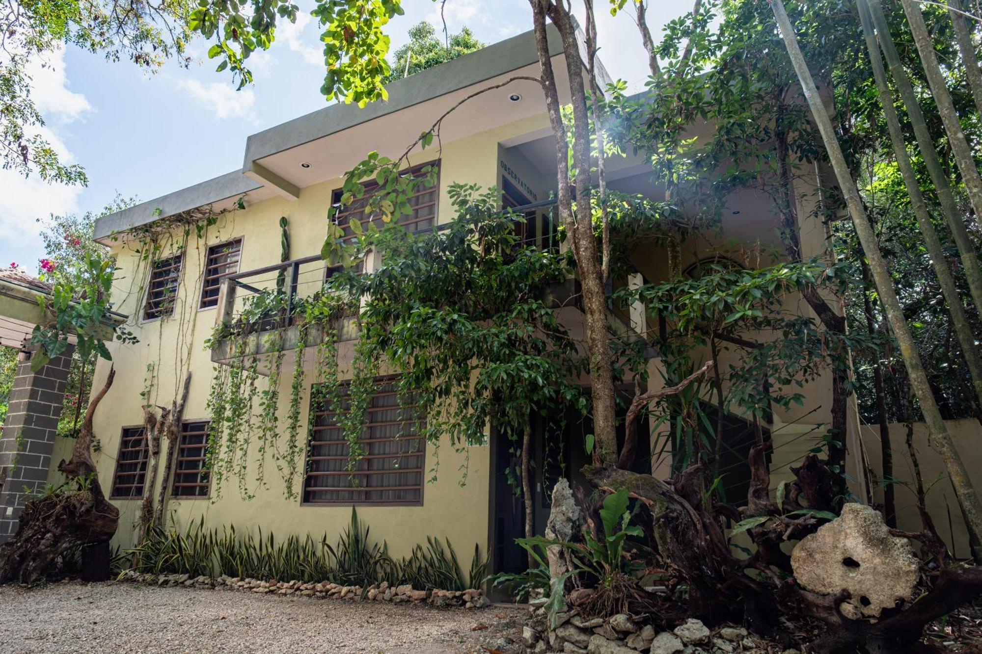 Hokhmah Heart Hotel Puerto Morelos Dış mekan fotoğraf